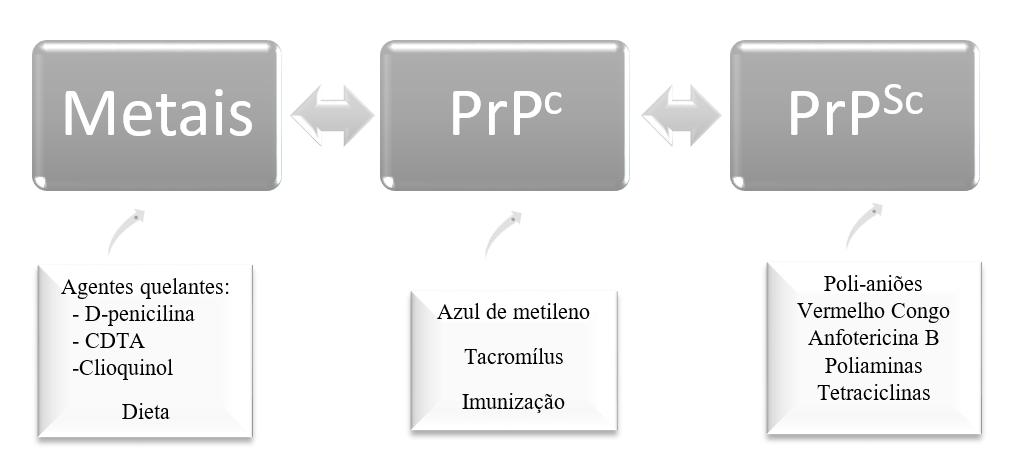 IV. Terapêutica das doenças priónicas Apesar de já se encontrarem esclarecidos alguns funcionamenos e processos das doenças priónicas, ainda existem alguns mecanismos enigmáticos na patogénese do