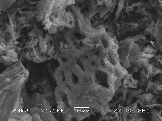 microscopia eletrônica de varredura MEV mostra também a diferença de porosidade de um carvão sem ativação e um carvão