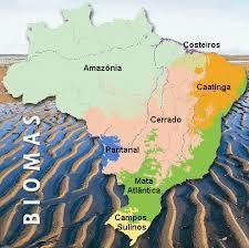 ECÓTONO: faixa de transição entre duas ou mais comunidades distintas pertencentes a diferentes ecossistemas Ou a transição entre 2 ou mais biomas BIOMAS: subdivisões dos grandes ambientes da