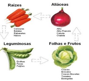 6. Rotação de cultura. 8. Plantio de plantas armadilhas 9. Manejo da adubação (adubação equilibrada) 10. Manejo da irrigação (irrigação por aspersão, por exemplo).