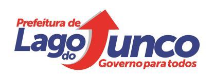 Lei nº Estima a Receita e Fixa a Despesa para o exercicio de 2017 do Municipio de LAGO DO JUNCO,e de outras providencias.