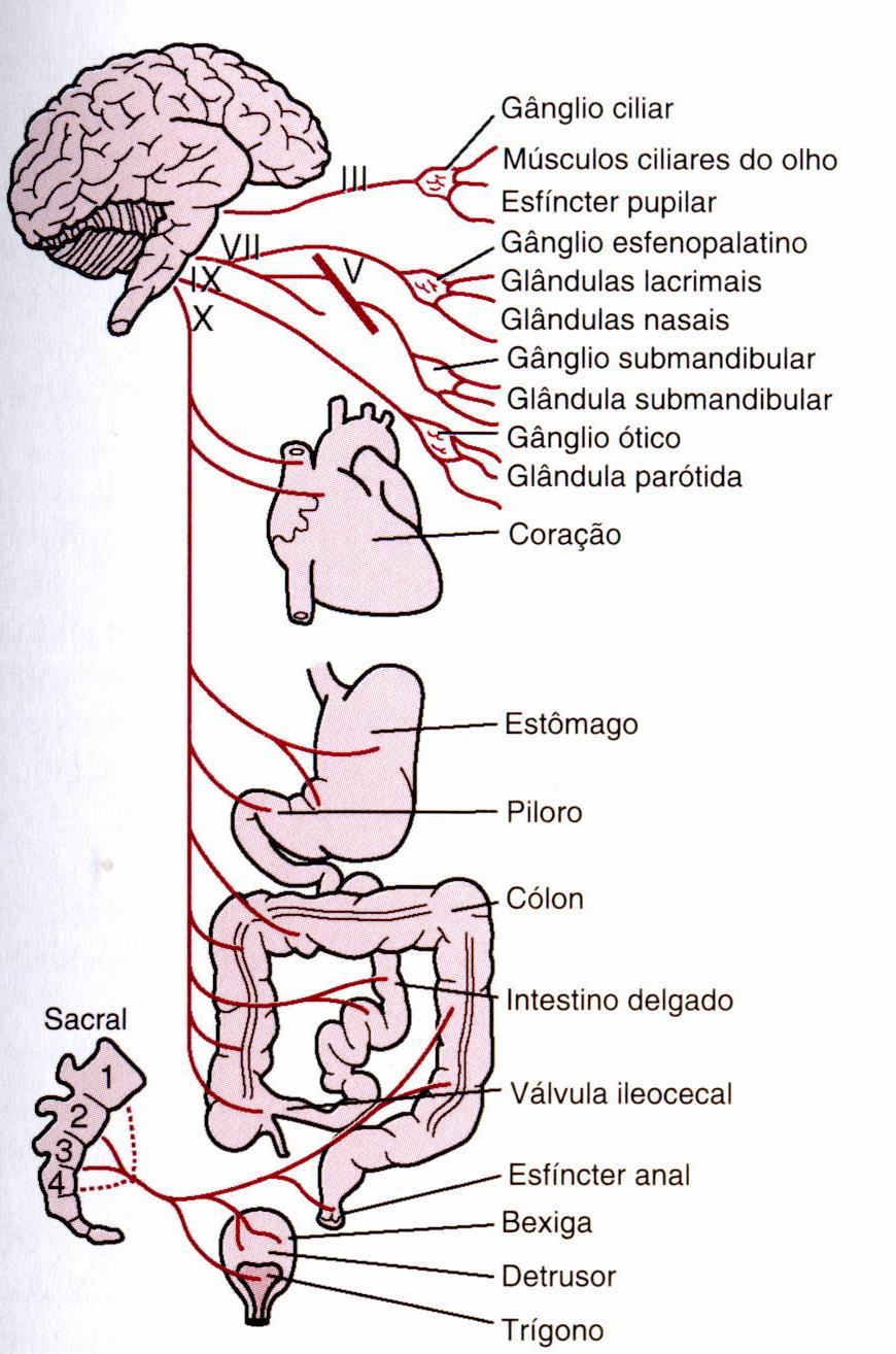 Sistema