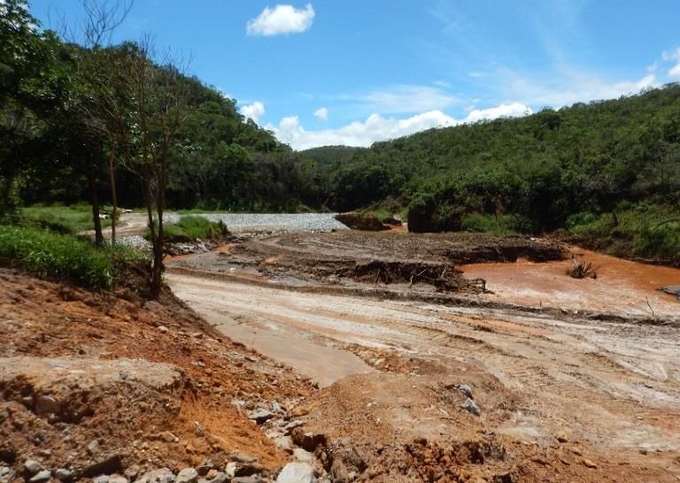 Vale ressalvar que as galhadas coletadas na limpeza da área estão sendo utilizadas como estrutura de fixação das bermalongas e como anteparo de quebra