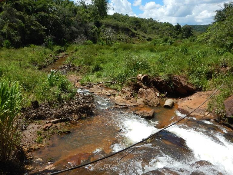 A alta resiliência do local, somada a hidrossemeadura emergencial executada pela Samarco, estabilizou rapidamente o local.