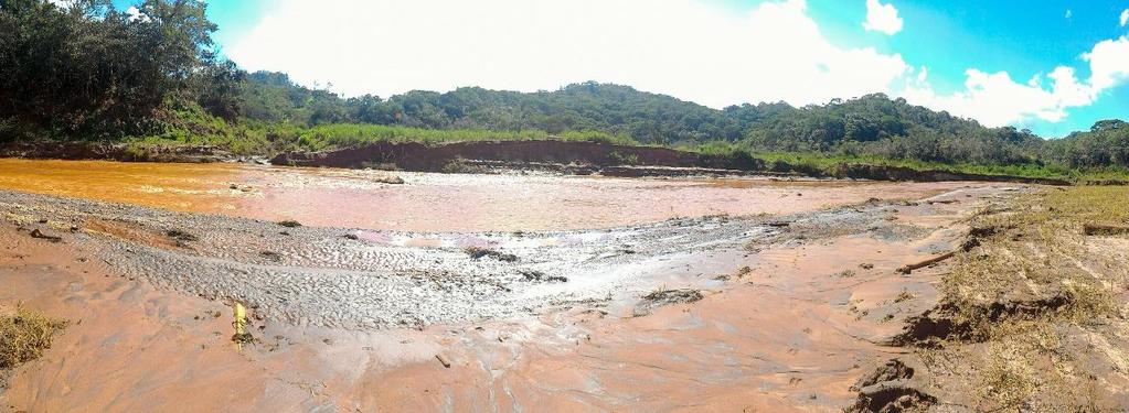 retaludamento e a margem direita possui solapamentos e indicios de deslizamentos. 92 Figura 92: Praia de rejeitos e desenvolvimento da vegetação na margem direita.