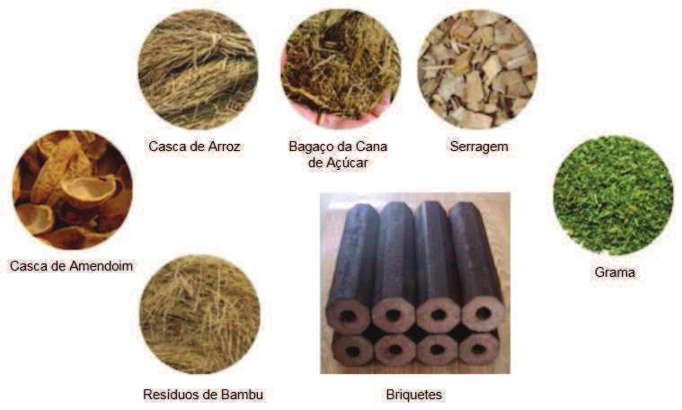 21 Figura 1: Biomassa para produção de briquetes. Fonte: Autor (2016) 2.3.