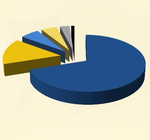 Fundação Banco do Brasil Investimento Social (R$ milhões) 223,90 80,47 93,99 118,61 136,18 136,16 141,98 2008 2009 2010 2011 2012 2013 Jan-Jun 2014 Origem dos Recursos 1S14 (R$ milhões) Vetores de