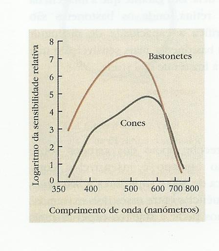 Percepção Humana na Visualização de Grandes Volumes de Dados: Estudo, Aplicação e Avaliação que se movem os olhos, quando se quer inspeccionar um objecto.