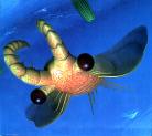 Anomalocaris