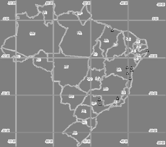 São Luís Recife Itabera Cruz das Almas Manoel