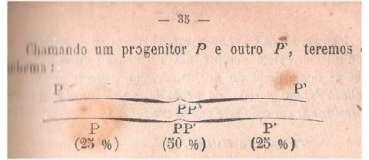 Elementos de Botânica, Werneck, 1932, p. 35. Acervo pessoal. Com apoio em Forquin (1993, p.