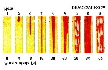 severidade, e foi usada a opção do software que não permitia a visualização da quantidade real de área afetada, evitando-se assim que os avaliadores treinassem.