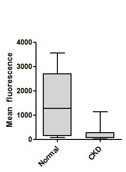 Descrição estatística * ** Fig. 3. Mean ethidium bromide fluorescence of neutrophils from healthy and CKDdogs activated (B) or not activated (A) by phorbol 12-myristate 13-acetate (PMA).