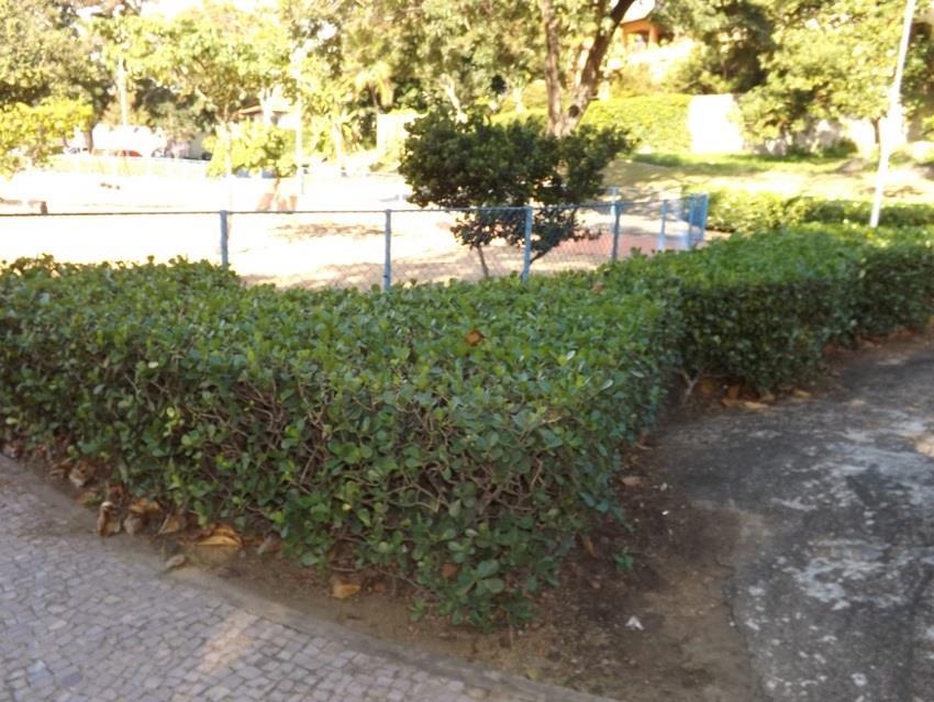 JARDIM DA