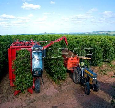 Agrícola/UFLA; Murilo M de Barros - Doutorando Eng. Agrícola/UFLA; João Paulo B.