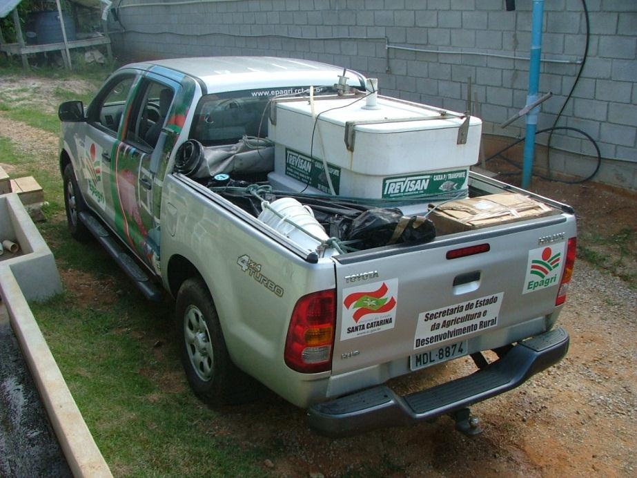18 4.2. Transporte dos alevinos Os alevinos de bijupirá (Rachecentrumcanadum) foram adquiridos da empresa Redemar localizado no município de Ilha Bela (SP).