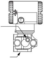 MI 020-359 Novembro 2014 2. Instalação PARAFUSO DE PURGA CONEXÃO DE PROCESSO EM LINHA Figura 20.