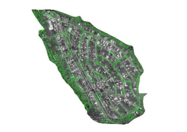 ÁREA VERDE EM BAIRRO PERIFÉRICO DA CIDADE DE TAUBATÉ, SP. p.6/8 margens do afluente do Itaim e no entorno do bairro (Figura 4), que resultou na proposta de plantio de 894 árvores adicionais.