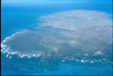 sedimento carbonático, abriga organismos vivos, a exemplo de pequenas colônias dos corais Favia
