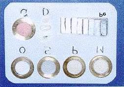 Material e Métodos 51 Figura 11 Amostras dos cimentos (O=cimento de óxido de zinco e eugenol; S=Sealer 26; P=Sealer Plus; M=MBP), guta-percha (G), dentina (D) e penetrômetro (Pe)