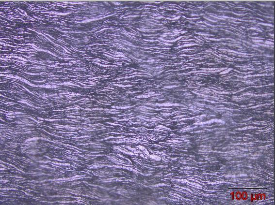 84 c)secção Transversal; 200x d)secção Transversal; 1000x Figura 38 - Mostra o compósito reforçado com 5% em massa de nitreto de alumínio (AlN).