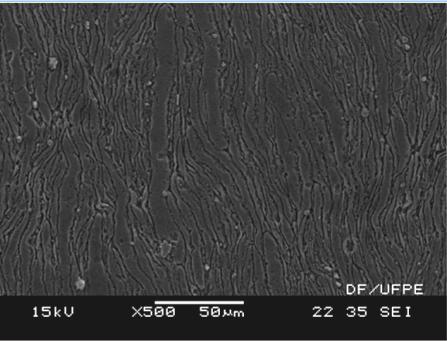A figura 41 mostra as micrografias da microestrutura, tanto da superfície, como da secção transversal do compósito sinterizado da liga de alumínio