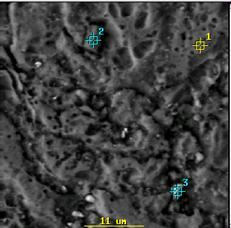 88 Ao contrário da Microscopia Ótica (MO), a micrografia do MEV ampliada 2500x revela o surgimento de cavidades gerando interstício no compósito, indicando a formação de porosidade.