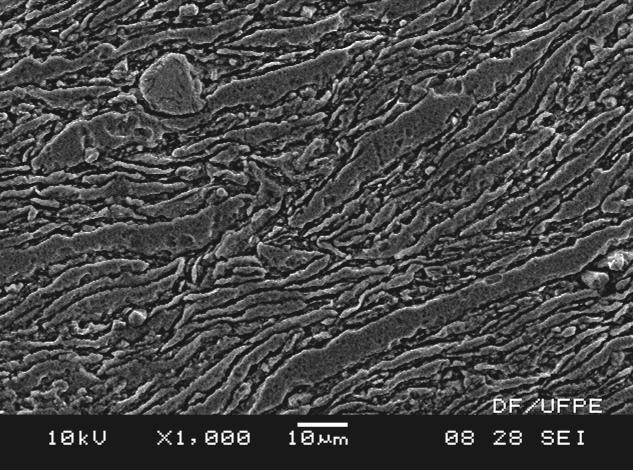 93 Secção transversal; 1000x Secção transversal; 2500x Figura 43 - Microscopia Eletrônica de Varredura (MEV) das pastilhas sinterizadas do compósito AA6061 reforçado com 15% de Nitreto de Silício (Si