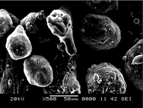 A técnica de Microscopia Eletrônica de Varredura (MEV) e Espectroscopia de Energia Dispersiva de Raios-X (EDS) foi empregada para caracterização microestrutural e para determinação da composição