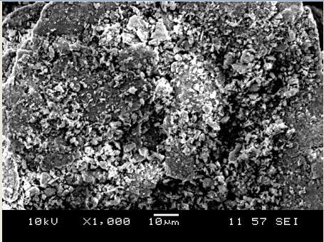 micrografiasda figura 31 (a, d, e ) mostram a