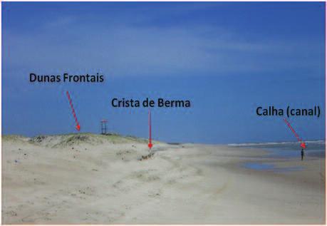 Nos dois primeiros períodos foram registrados ventos mais fortes, ondas com alturas mais significativas e, consequentemente perfis de inverno com formação de calhas (canais) e bancos longitudinais,