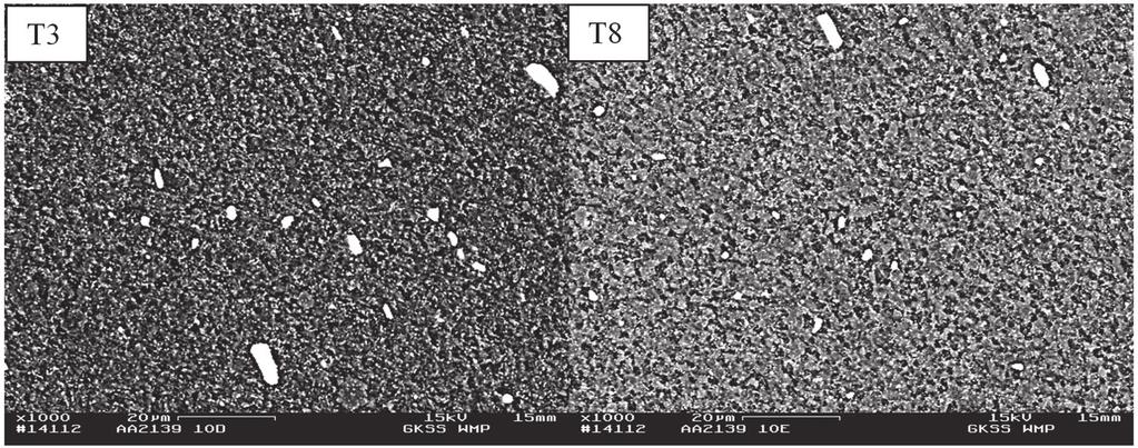 Caracterização Microestrutural e Comportamento Mecânico das Ligas de Alumínio AA2139 T3 e T8 Soldadas por Fricção Rotativa com Mistura distribuída pela matriz de alumínio, tanto em T3 quanto em T8.