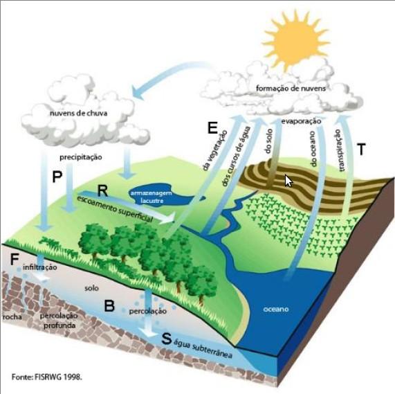 precipitada alcança a superfície terrestre, já que uma parte, na sua queda, pode ser interceptada pela vegetação e volta a evaporar-se.