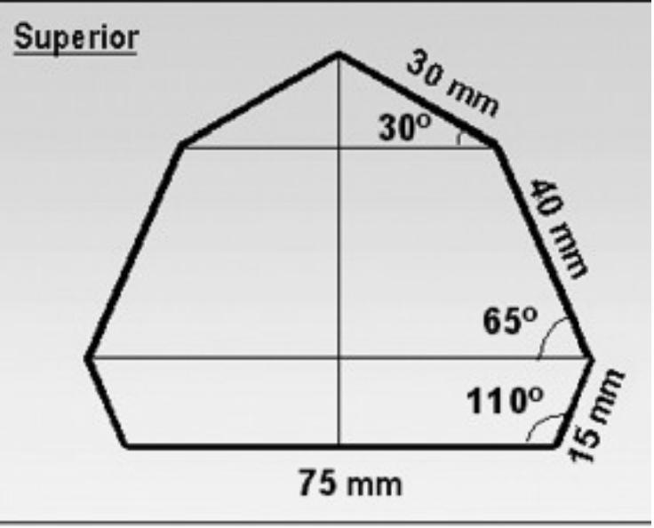 Segundo Ferreira (1996), para obtenção dos modelos de gesso, usa-se gesso pedra branco e deve ser vazado no molde com o auxílio de um vibrador.