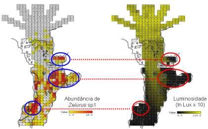 em maior abundância na região para-epígea (figura 30a), zona com maior concentração de clastos no ambiente.