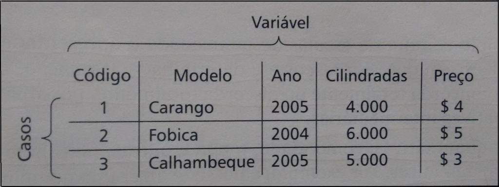 Dados, Casos, Variáveis e Informações Os casos representam os elementos para os quais os valores expostos foram extraídos.