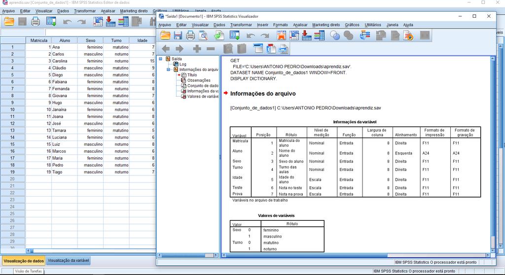 O SPSS gerará um arquivo de saída coma as informações sobre as variável.