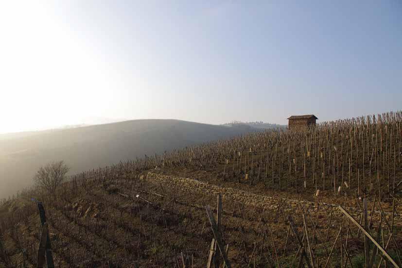 3 DIA : VALE DO RHÔNE SETENTRIONAL GRANDES VINHOS & CHOCOLATE O Vale do Rhône (em português) é o segundo mais extenso vinhedo produtor de vinhos finos da França, perdendo apenas para Bordeaux.