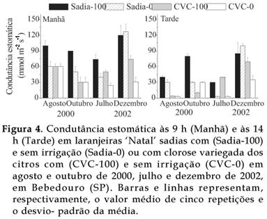 Bragantia - Water deficiency intensifies physiological symptoms of citrus variegated clorosis in 'Natal' sweet orange plants