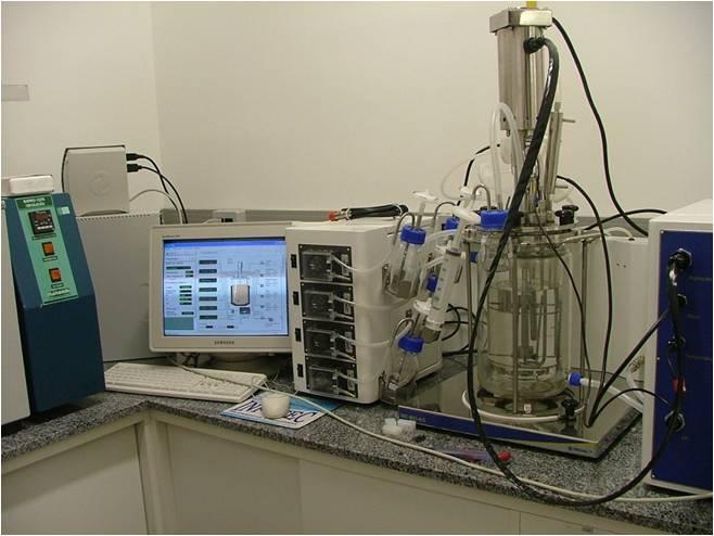 Figura 3 - Fotografia do aparato experimental para estudos em escala de bancada.
