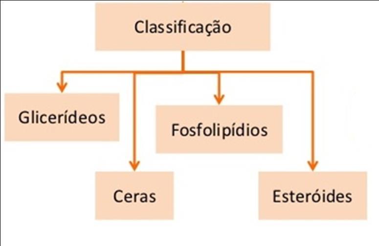 4.1.Composição