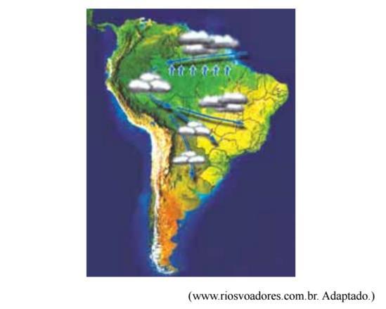 A partir da leitura do texto e da observação do mapa, é correto afirmar que, no Brasil, a) cada vez mais, a floresta é substituída por agricultura ou pastagem, procedimento que promove o