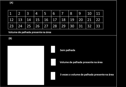 experimento foi implantado no dia 07 de setembro de 2013, sendo que a cada 14 dias era coletado 3 litter bags, sendo assim feita 11 coletas, os quais eram secos em estufa de circulação de ar a 65ºC