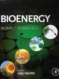 Competências em Bioenergia na Unicamp Biomass production (mainly sugar-cane): biology & agronomy Industrial Microbiology (includes metabolic