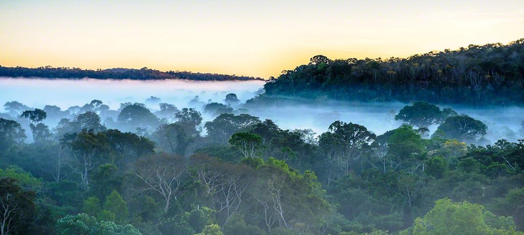 você irá viver uma experiência única de paz e amor. No fim do dia, haverá o bate-papo O que levar da Amazônia dentro de você!. Hospedagem no Cristalino Lodge.