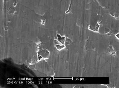 Microscopia Eletrônica de Varredura dos aços na condição lubrificada com a carga de 10N (0,18 MPa)