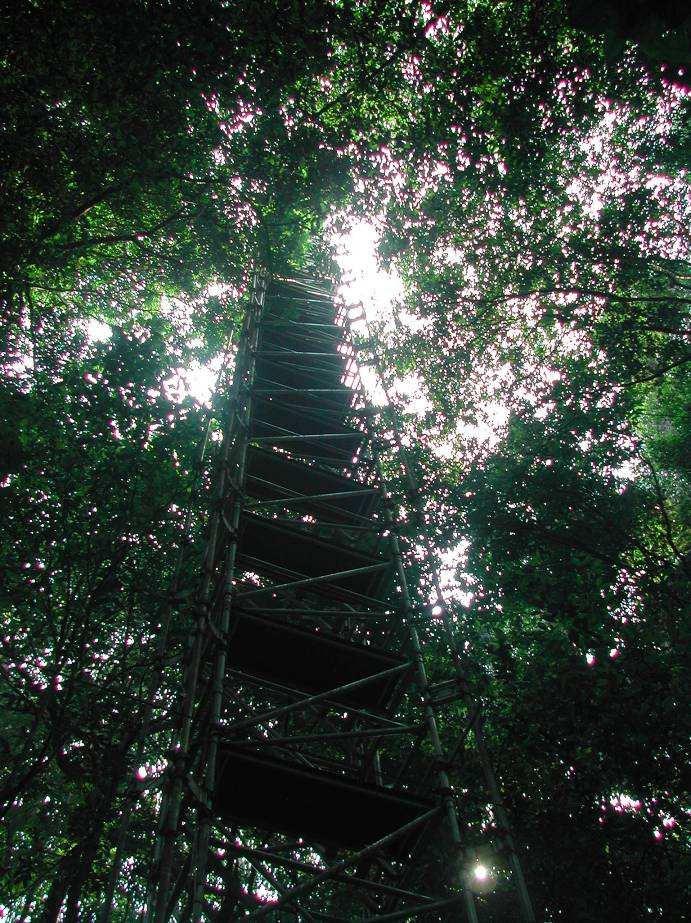 43 Figura 2.8. Foto de torre micrometeorológica na Floresta Nacional de Caxiuanã 2.2.1.2. Reserva Florestal Rebio - Jarú O estado de Rondônia, que integra a Amazônia Legal, possui uma área de aproximadamente 243.