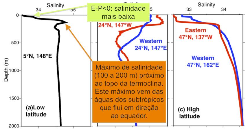 Variação da salinidade em latitudes baixas Olga T.