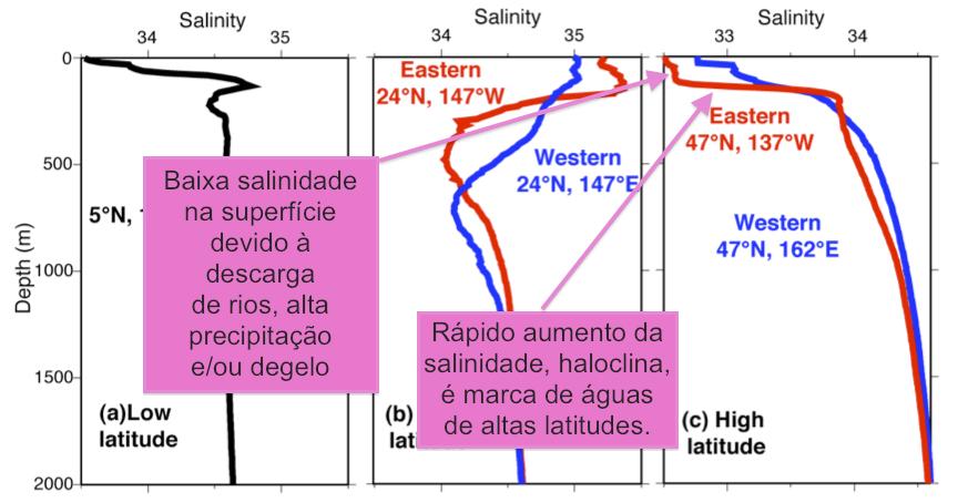 Variação da salinidade em latitudes altas Olga T.