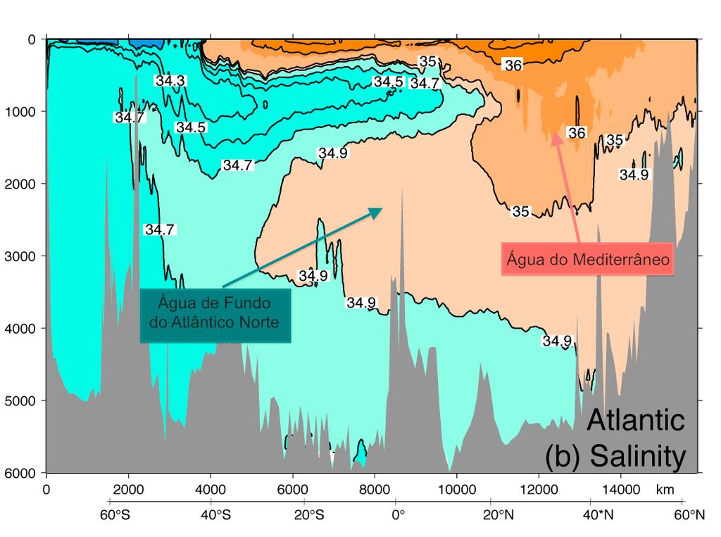 Seção de salinidade no Atlântico Olga T.